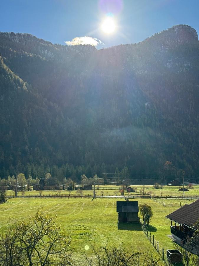 Hotel Haus Edelweiss Obertraun Exterior foto